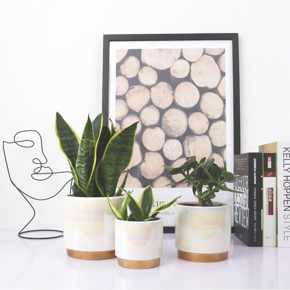 White Indoor Pots for Plants, Ceramic Planter with Drainage Hole, 6.0 inch+5.0 I - Picture 6 of 7